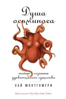 Душа осьминога: Тайны сознания удивительного существа