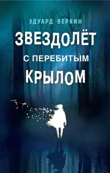 Звездолёт с перебитым крылом