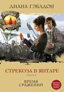 Стрекоза в янтаре (Книга 2). Чужестранка 03