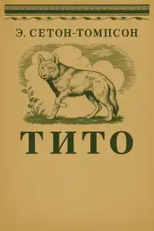 Тито