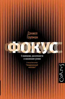 Фокус внимания