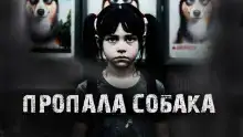 Пропала собака!