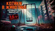 Котики в животике