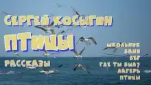 Сборник рассказов