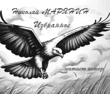 Полёт орла. Избранное