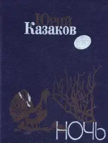 Ночь
