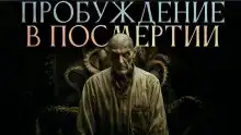 Пробуждение в посмертии