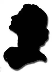Cherchez la femme