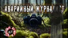 Аварийный журналист