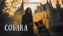 Собака