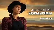 Хризантемы